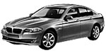 BMW F10 C140D Fault Code